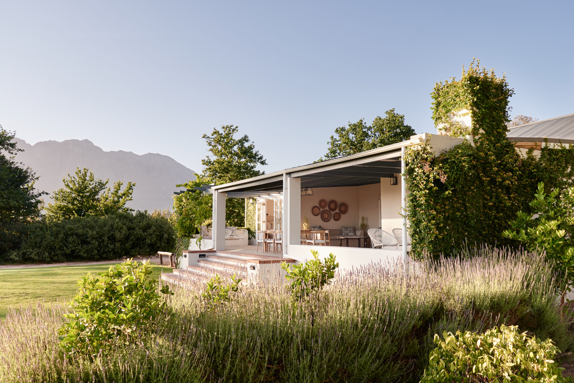 Boschendal Vineyard, Franschhoek, South Africa