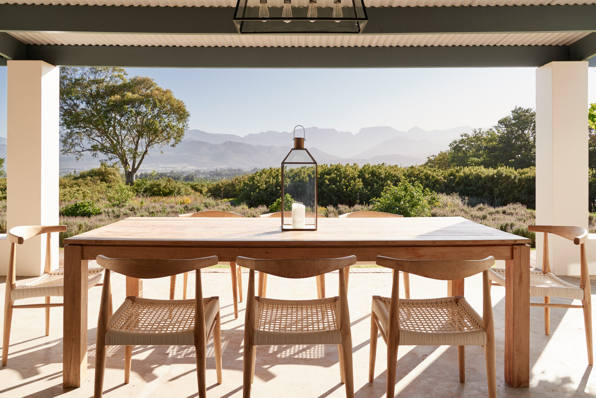 Boschendal Vineyard, Franschhoek, South Africa